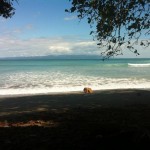 This has been my little slice of heaven for about as long as I remember - our front yard in Costa Rica.